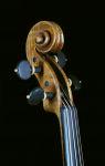 Viola 41,3  Philippe Girardin inspired by the “Stauffer” A. & H. Amati 1615