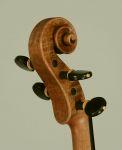 Philippe Girardin violin, inspired by the Milanese school