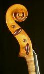 Carcassi L & T violin, 17..