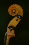 Cello Pedrazzini Giuseppe Milano 1913