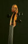 Cello Chiocchi Gaetano Padova 1876  n°31