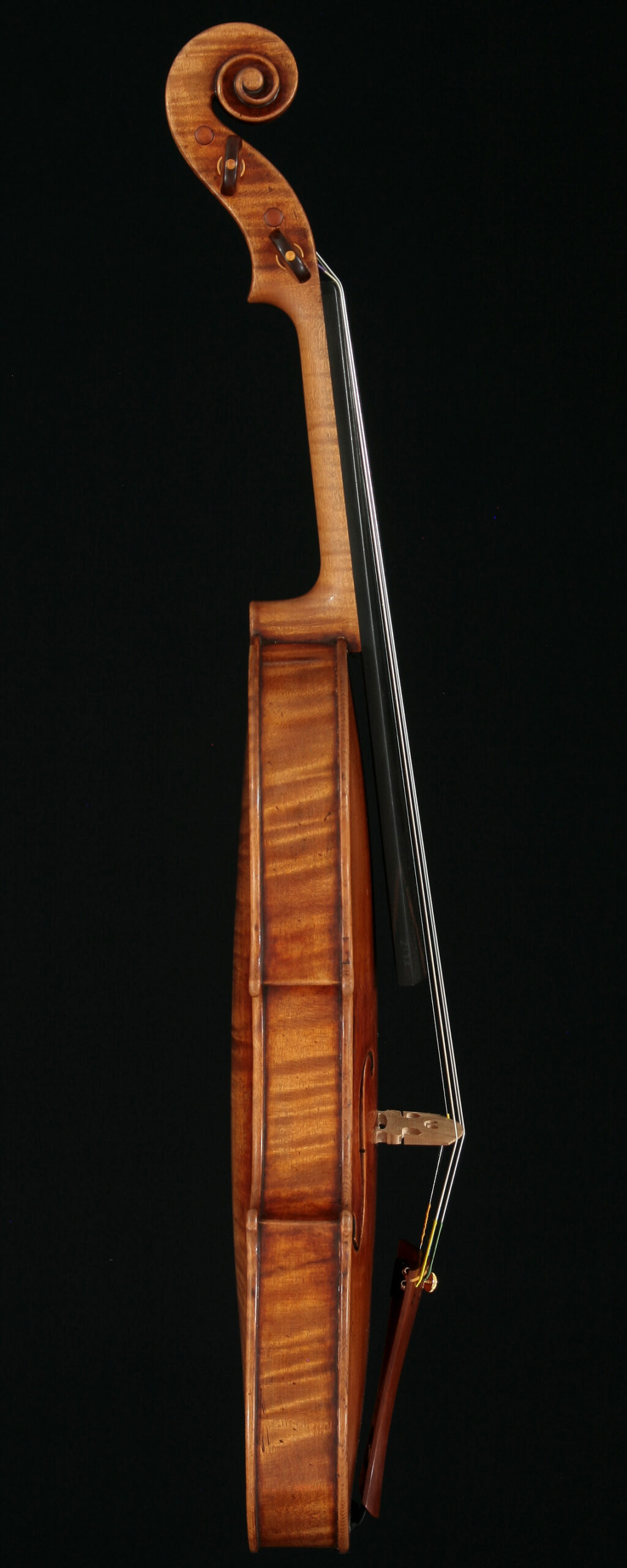 le-Rachel-violin3