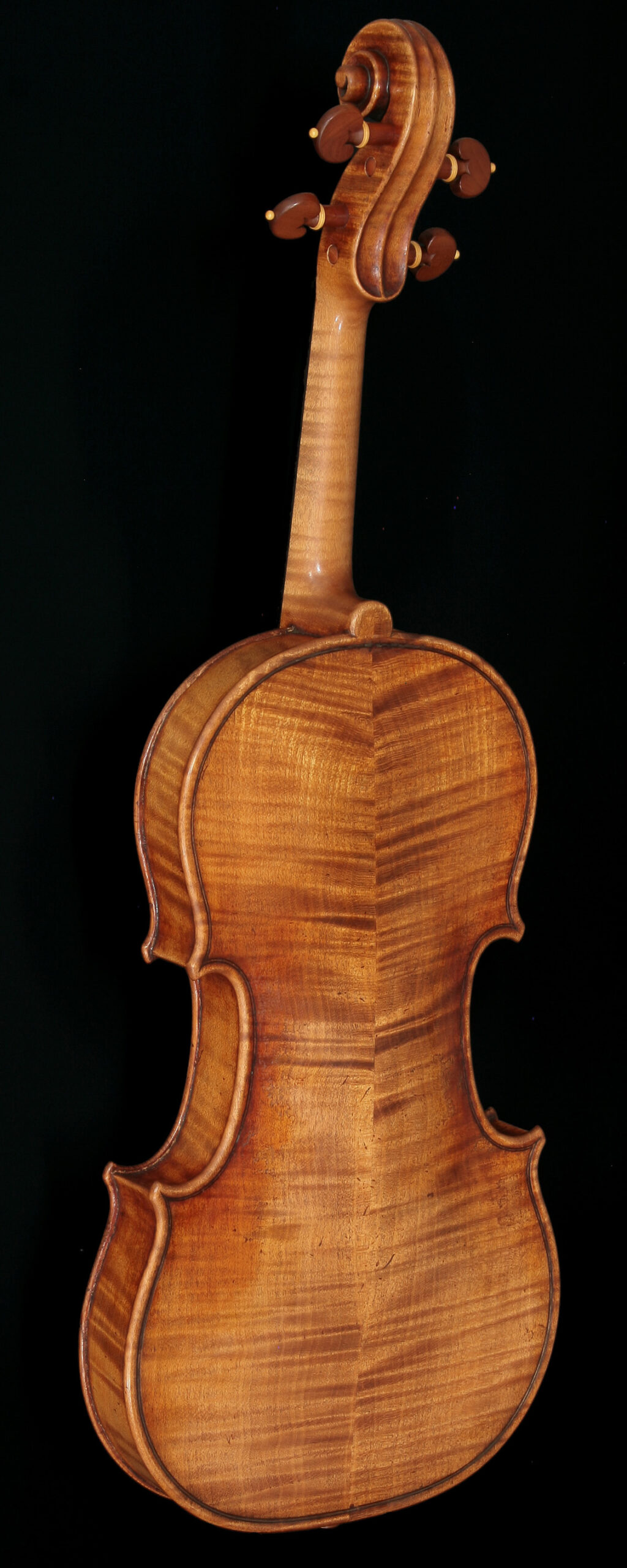 le-Rachel-violin6