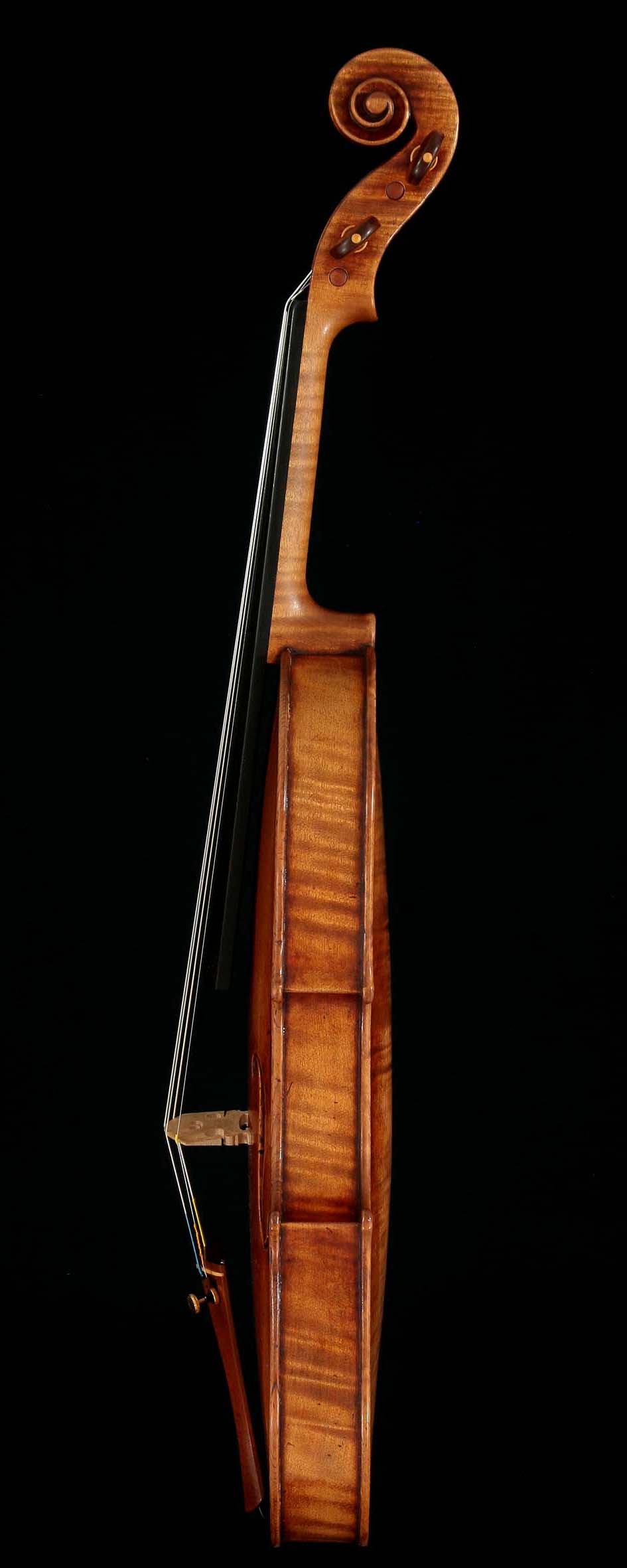 le-Rachel-violin7