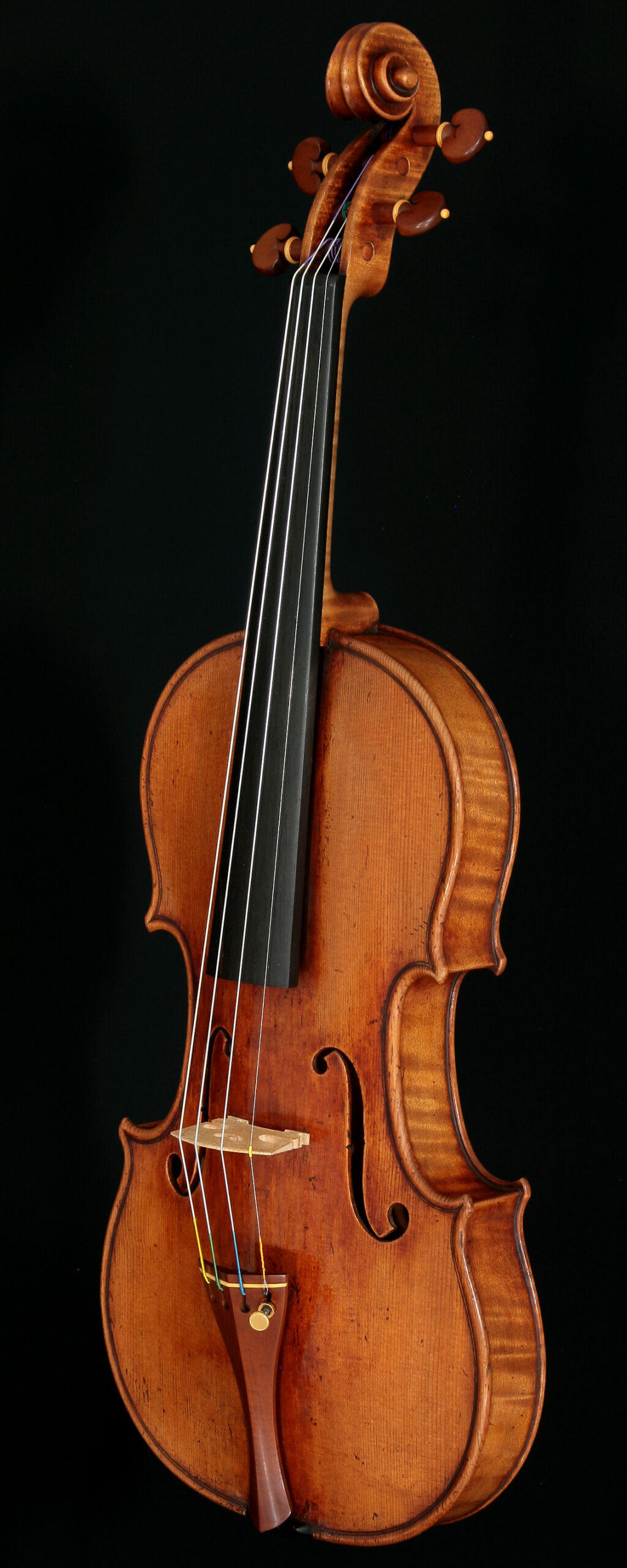 le-Rachel-violin8